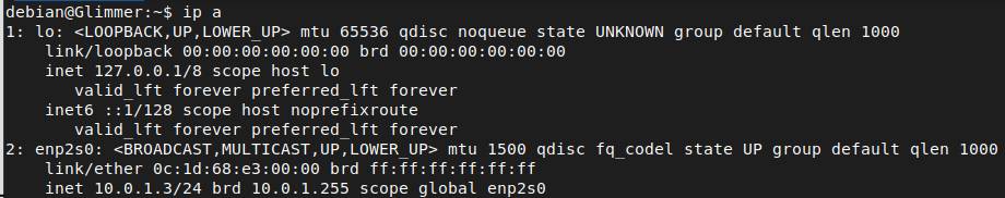 Captura 29