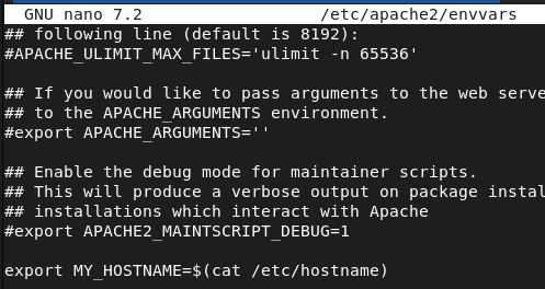Captura 98